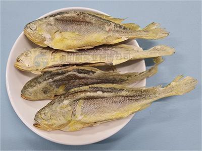 17102320077614.jpg 田楓黃花魚.jpg