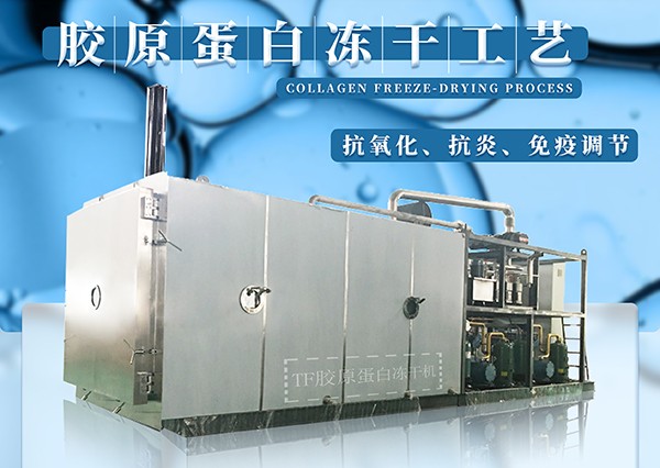 17119330022620.jpg 微信圖片_20240401085415.jpg