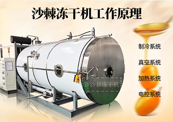 17125382504347.jpg 微信圖片_20240408090200.jpg