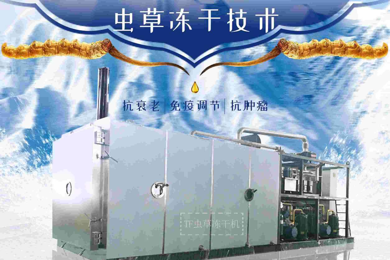 17135822132936.jpg A主圖.jpg