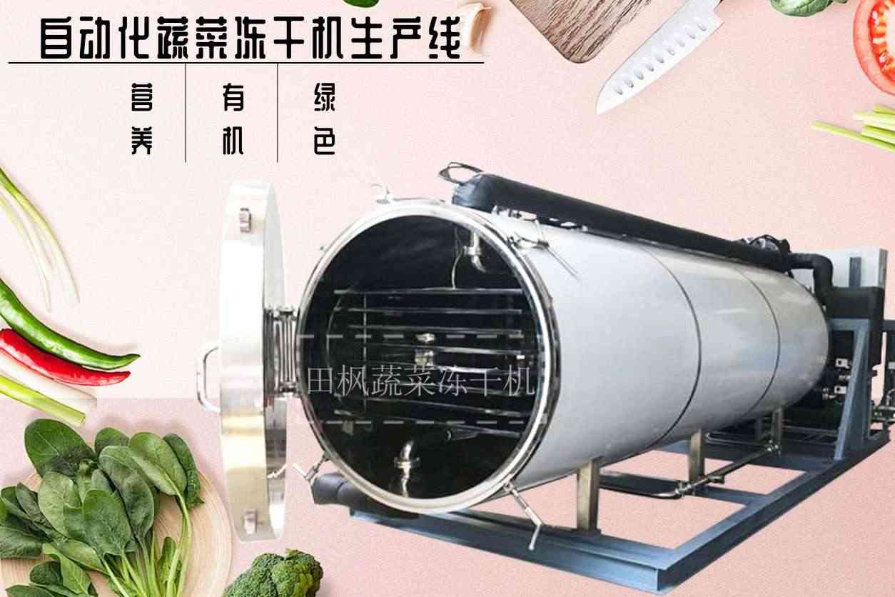 如何選擇適合自己的蔬菜凍干機(jī)？有哪些購(gòu)買(mǎi)建議？