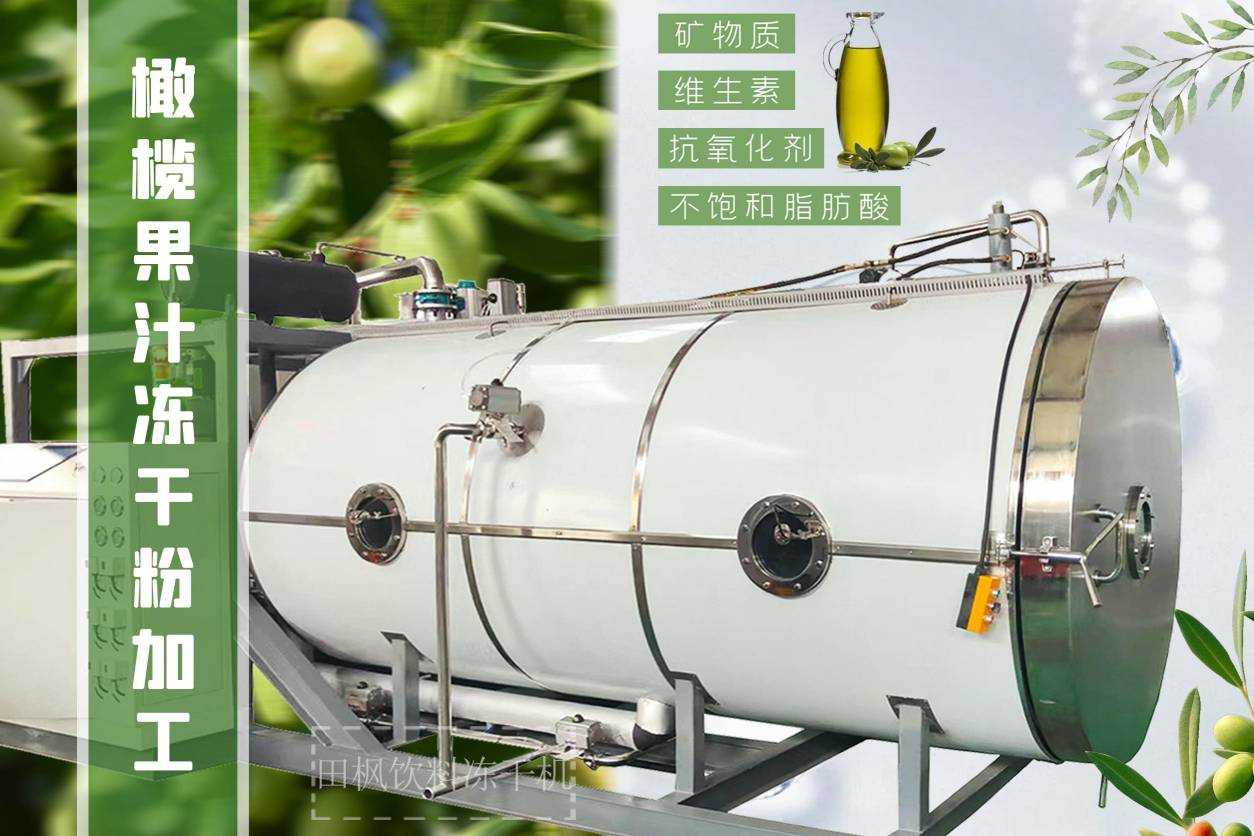 橄欖汁真空冷凍干燥機(jī)是如何保留橄欖汁的營(yíng)養(yǎng)成分？