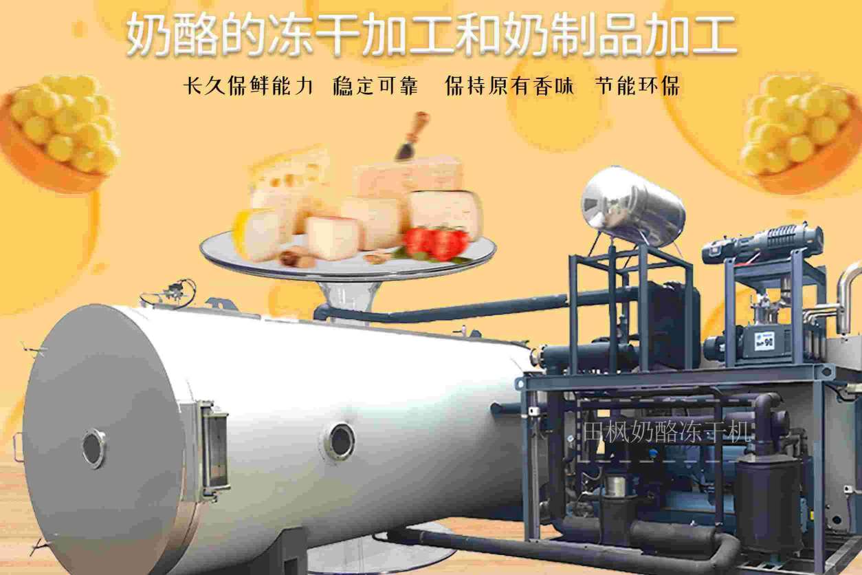 奶酪凍干技術(shù)是如何改變奶酪保存和消費(fèi)的方式的？