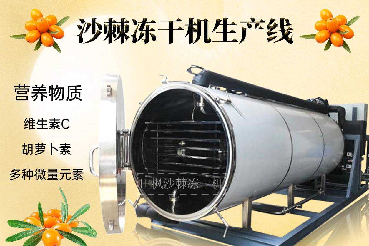 17157495477882.jpg 沙1.jpg