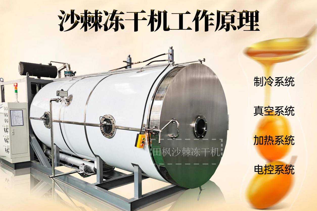 17157495643584.jpg 沙3.jpg