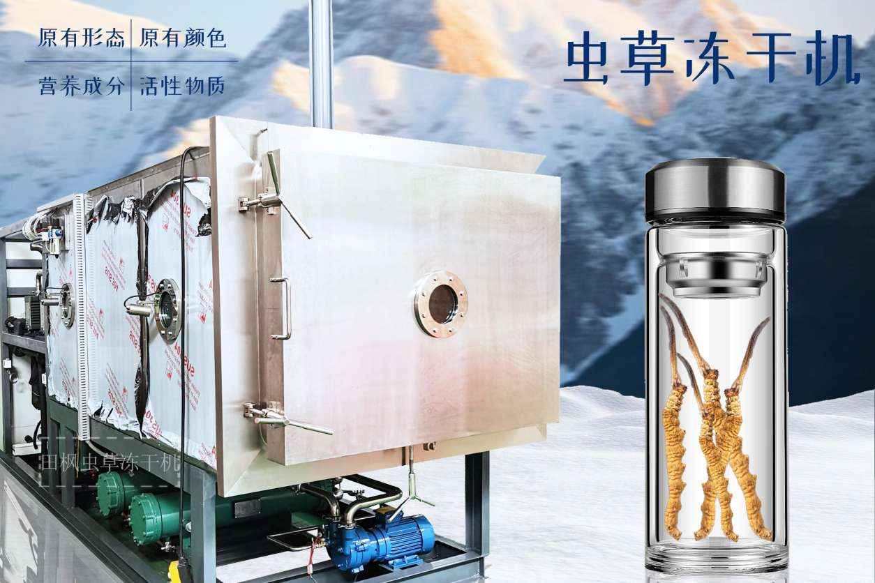 17163451217354.jpg 蟲3.jpg