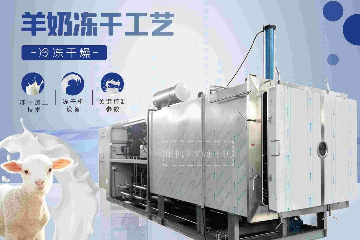 17168558427915.jpg 羊1.jpg