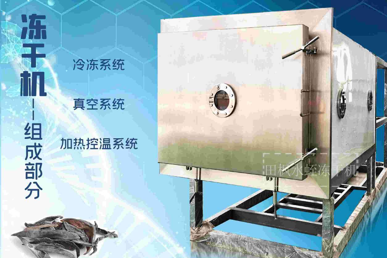 17168560942943.jpg 蛭3.jpg