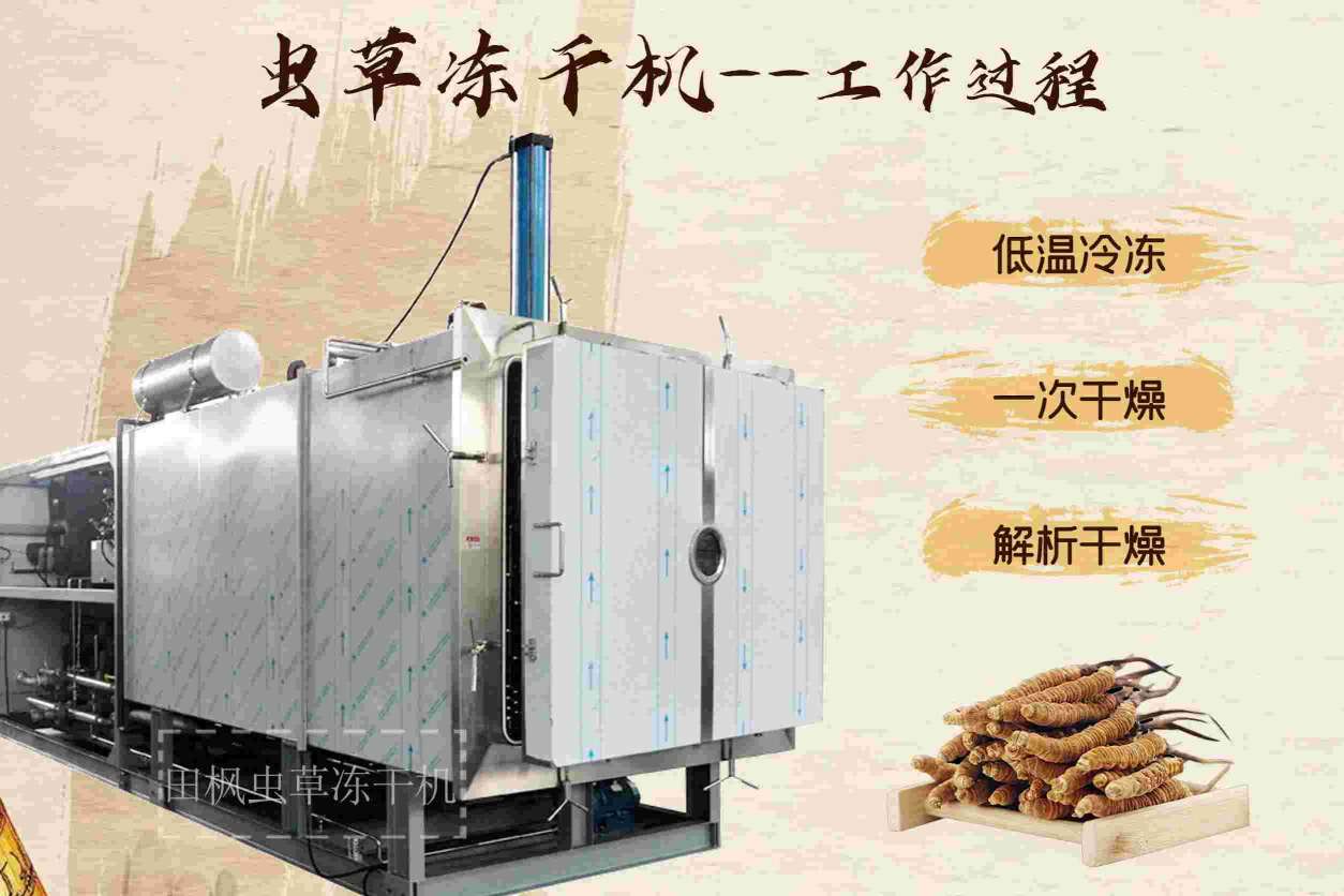 17182590847710.jpg 蟲6.jpg