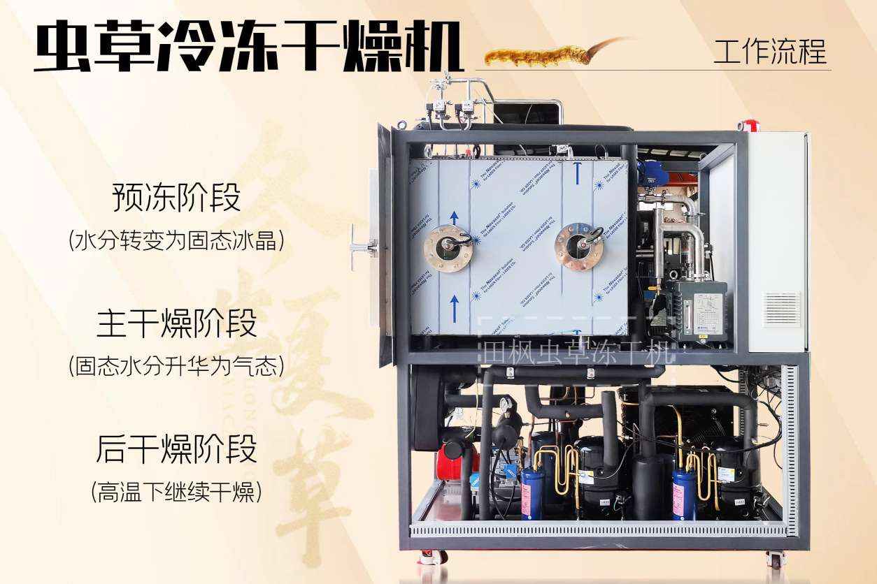 17183343837594.jpg 蟲8.jpg