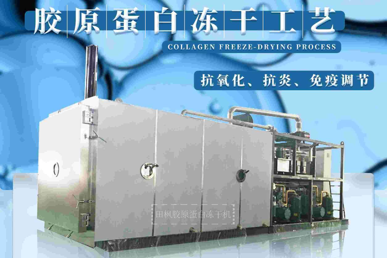 17184180077152.jpg 膠1.jpg