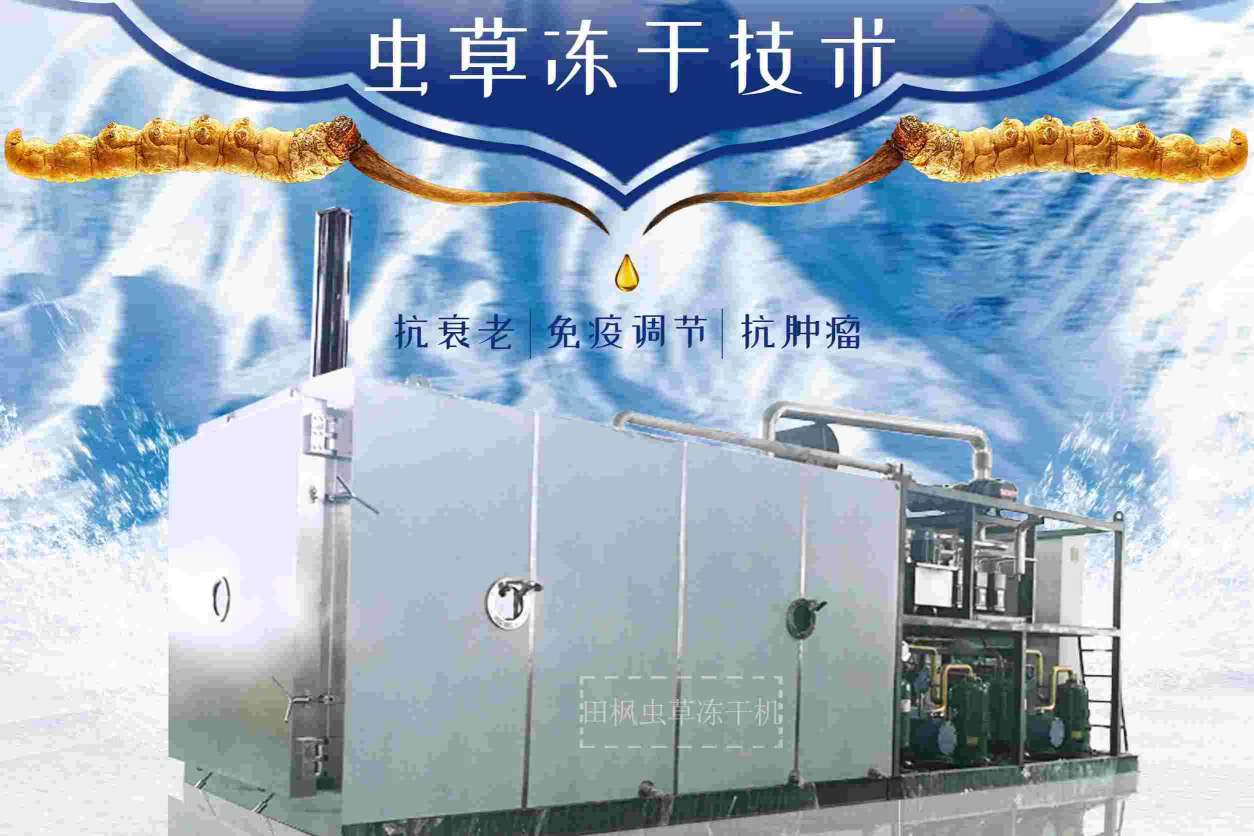 17185886853866.jpg 蟲1.jpg