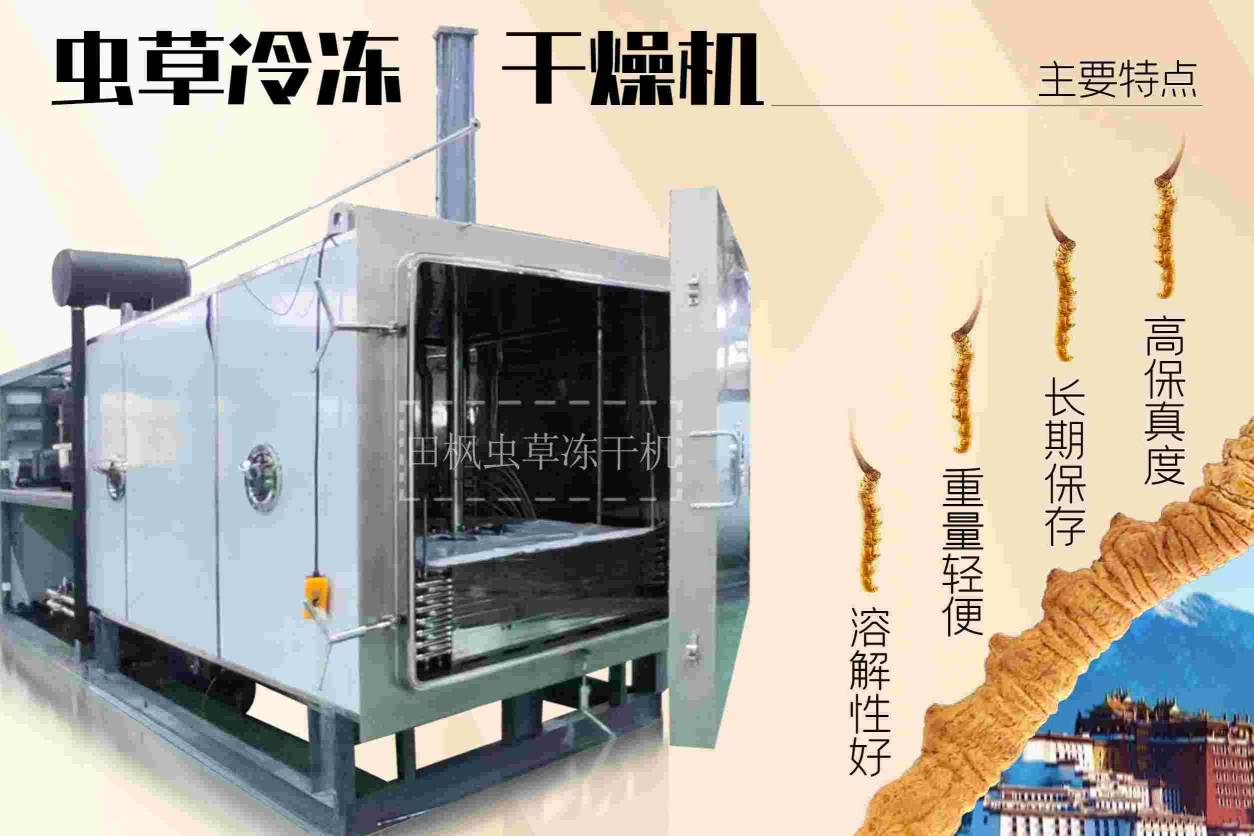 17188463198992.jpg 蟲7.jpg