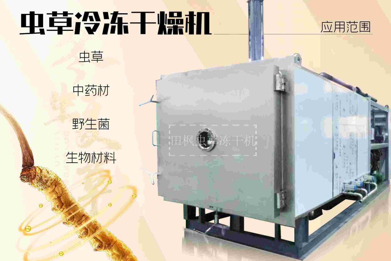 17188463459809.jpg 蟲9.jpg