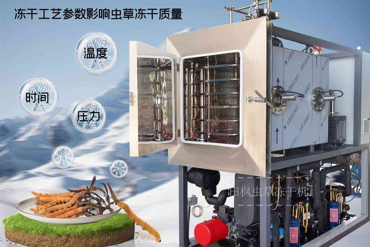 17189495418009.jpg 蟲11.jpg