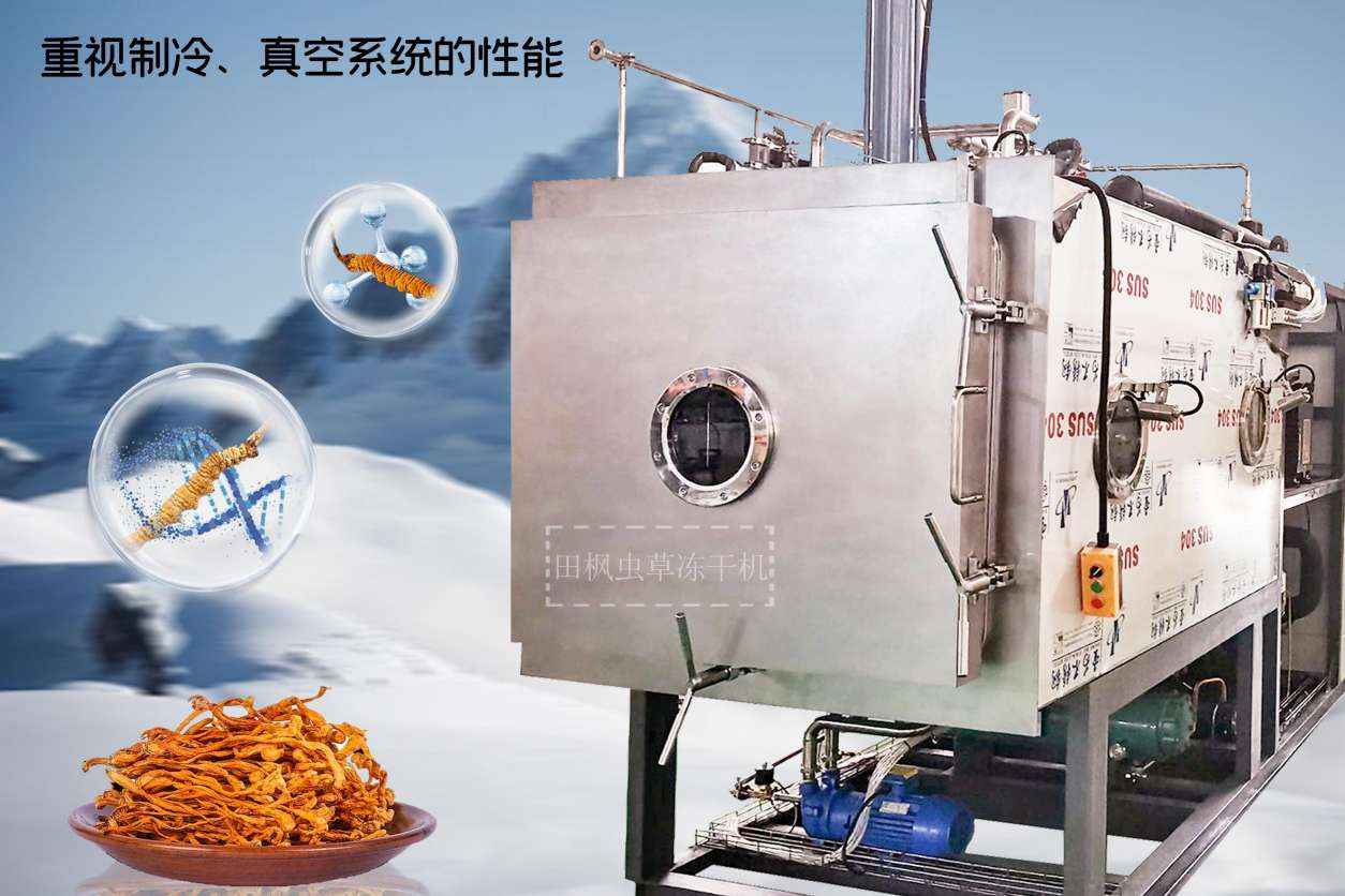 17189495471177.jpg 蟲12.jpg