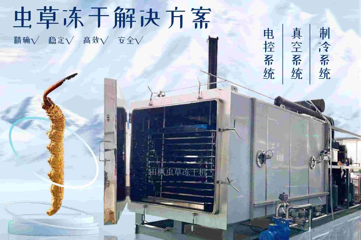 17192761865849.jpg 蟲2.jpg