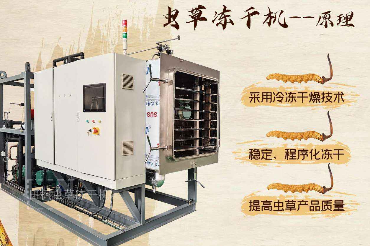 17192780037858.jpg 蟲5.jpg