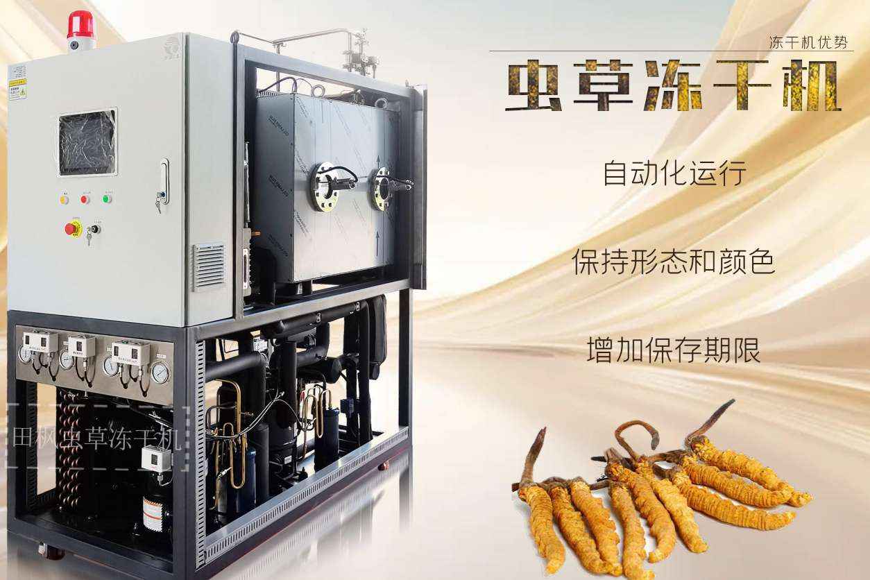 17193637741205.jpg 蟲14.jpg