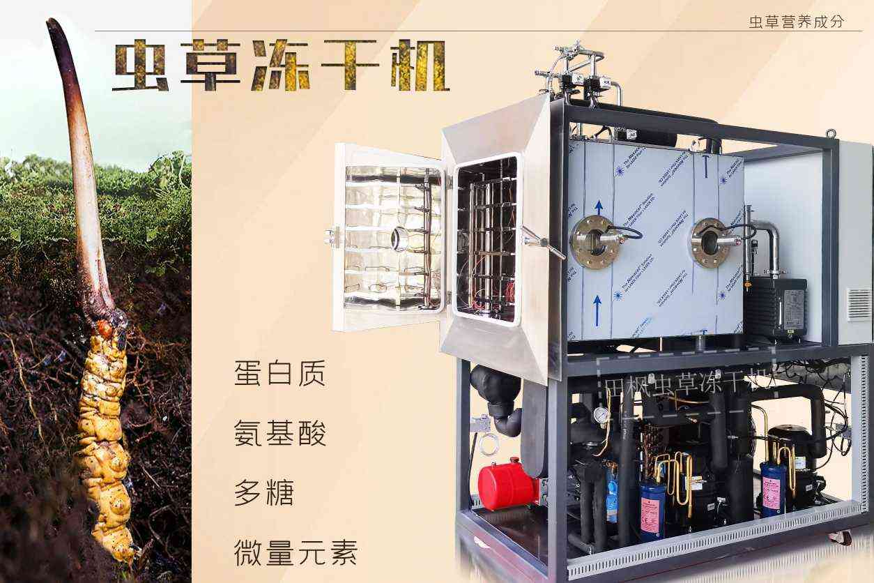 高效能凍干機(jī)的節(jié)能環(huán)保優(yōu)勢(shì)有哪些？