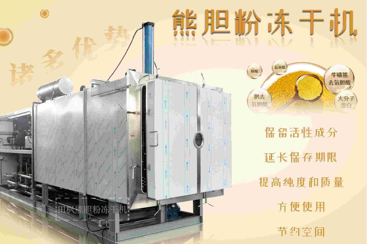 17214347731751.jpg 熊2.jpg