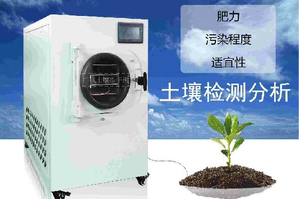 17223020821404.jpg 土4~2.jpg