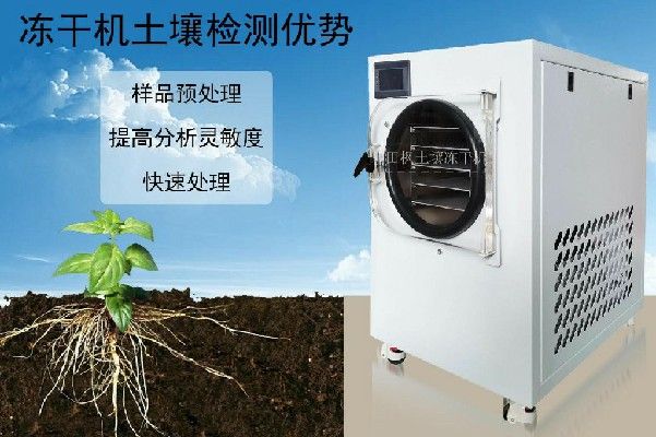 17223021053502.jpg 土6~2.jpg