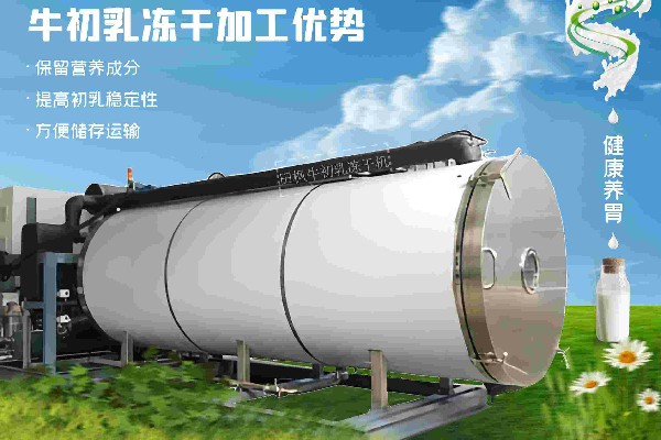 17224738805172.jpg 牛3~1.jpg