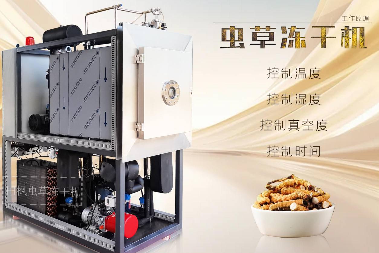 17232515957094.jpg 17232515957094.jpg