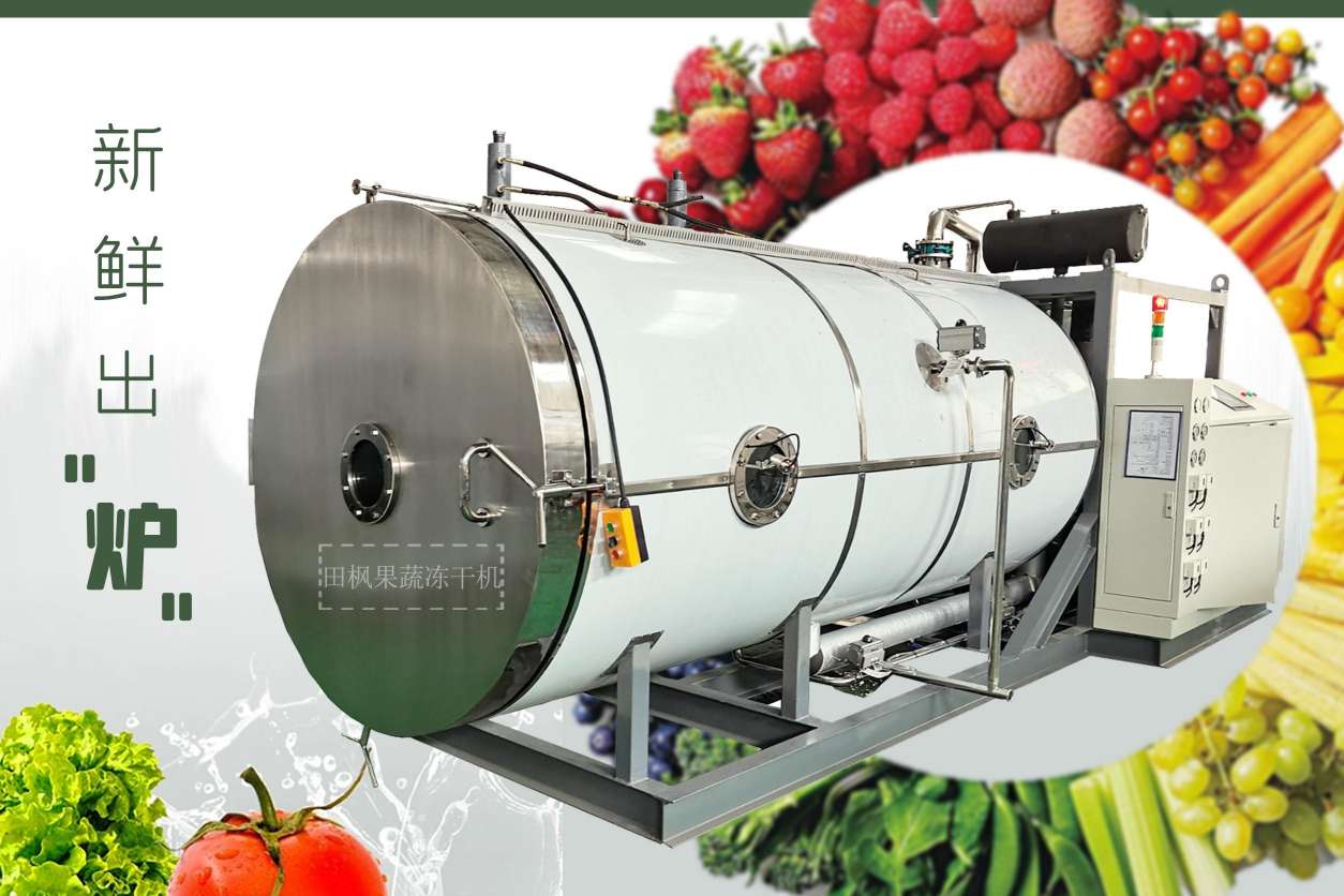 17244660288095.jpg 17244660288095.jpg