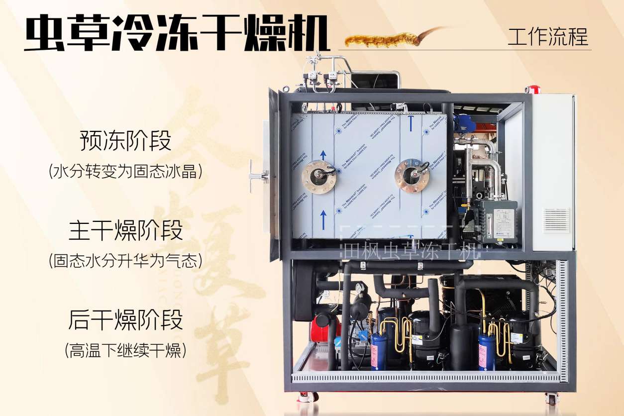 17246339473647.jpg 17246339473647.jpg