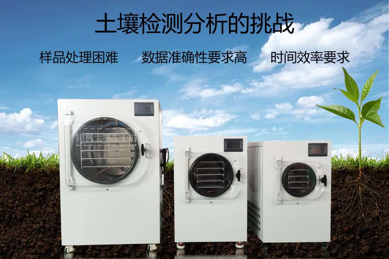 17262834651018.jpg 土5.jpg