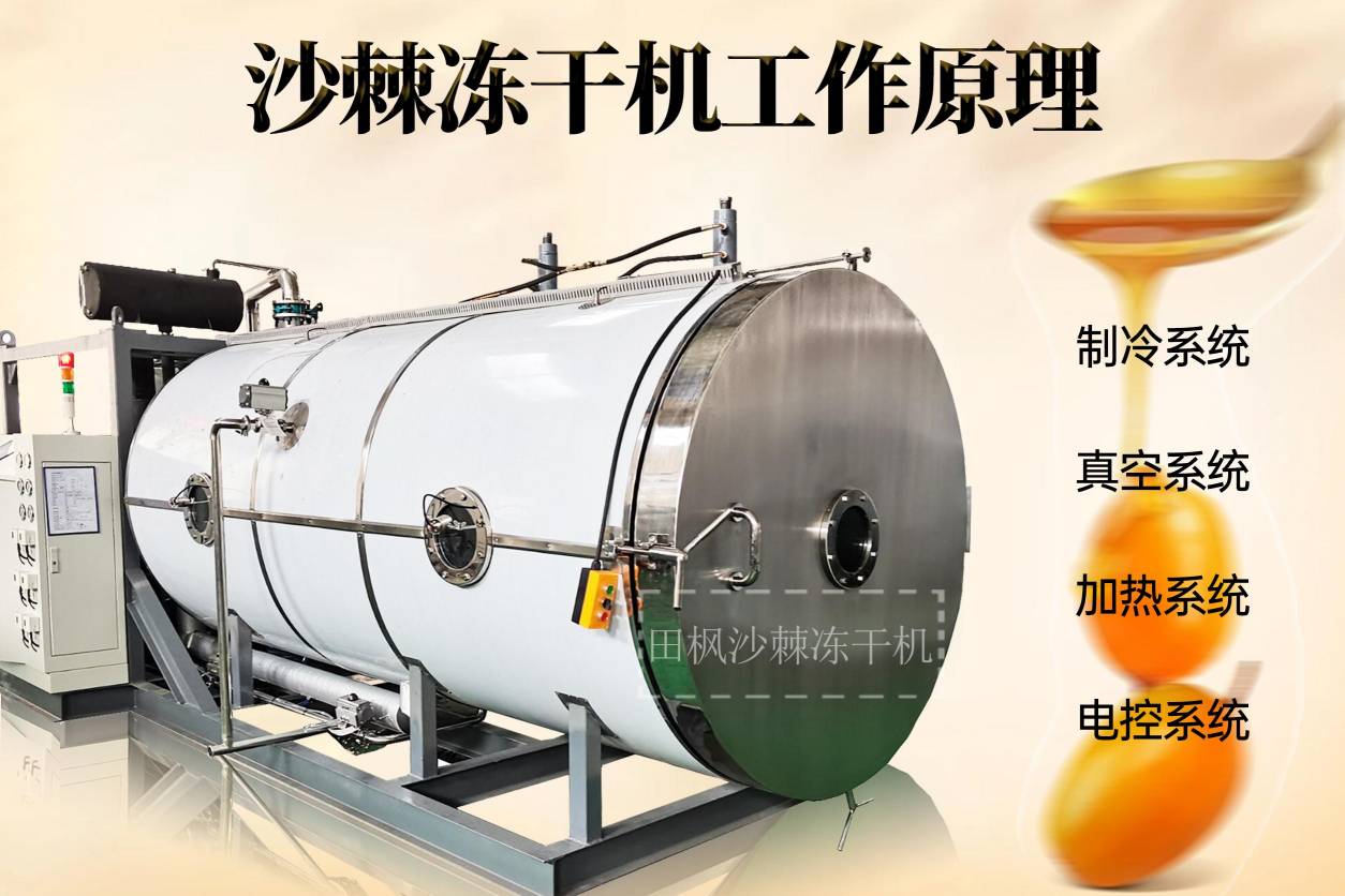 食品凍干機(jī)的凍干技術(shù)：沙棘的新鮮口感與營(yíng)養(yǎng)保障