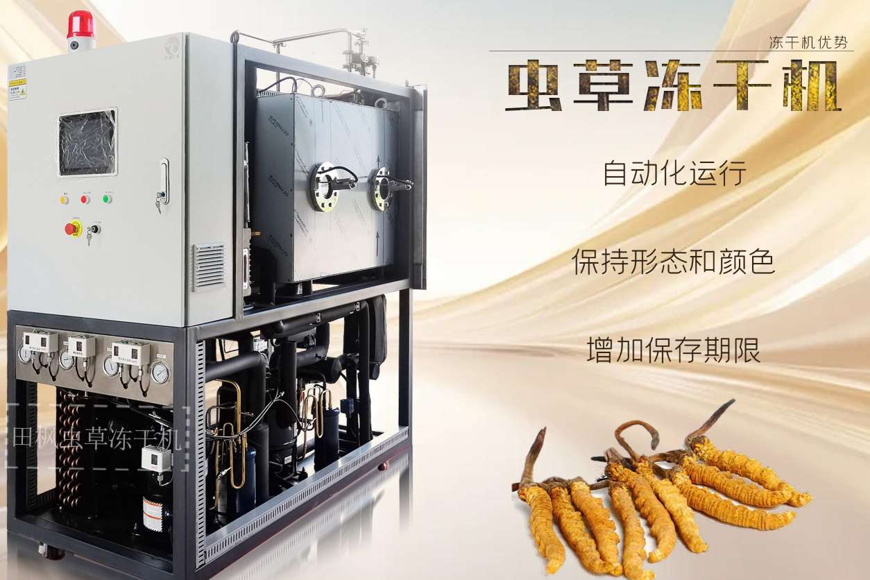 17276547039921.jpg 17276547039921.jpg