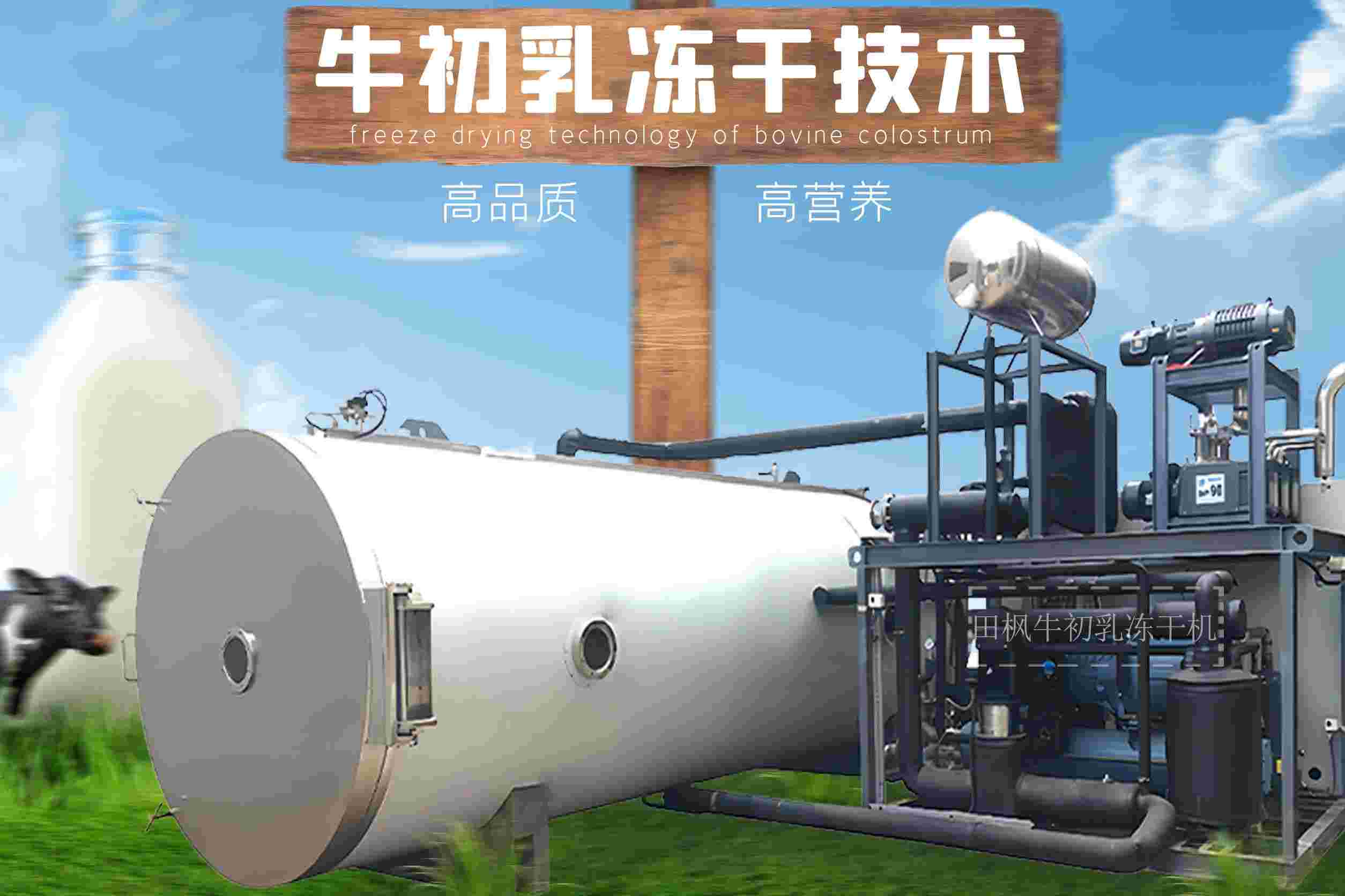 食品凍干機(jī)制造：牛初乳的便捷營(yíng)養(yǎng)新方案