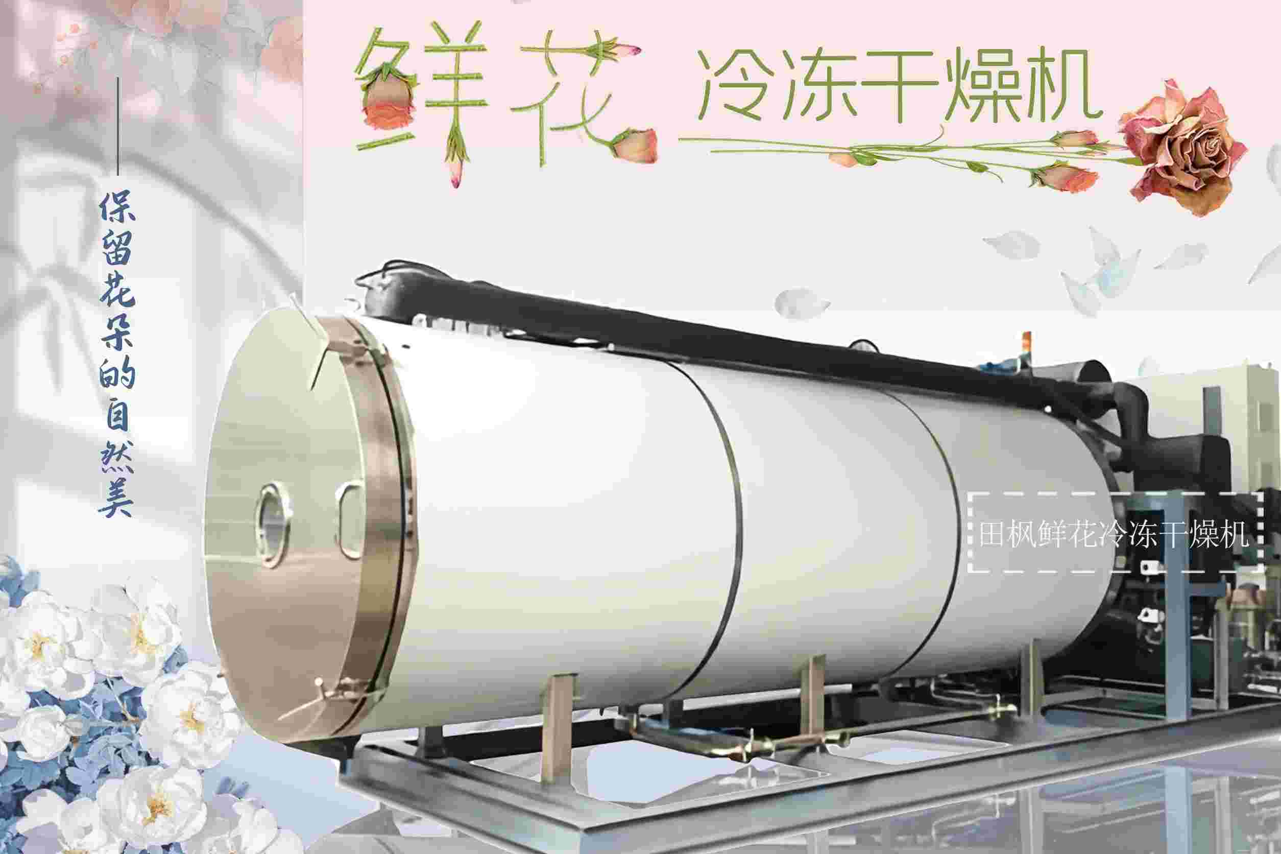 17287787924167.jpg 17287787924167.jpg