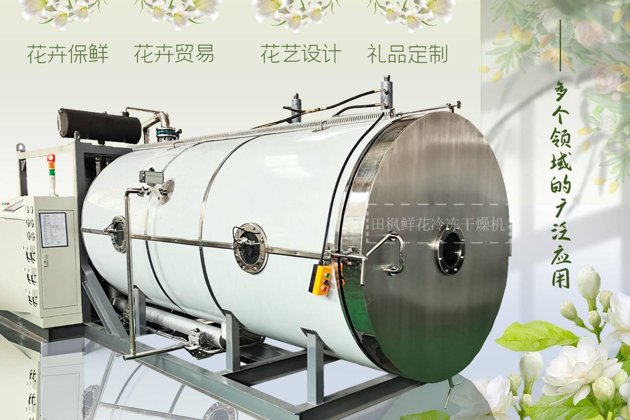 17289525412717.jpg 17289525412717.jpg