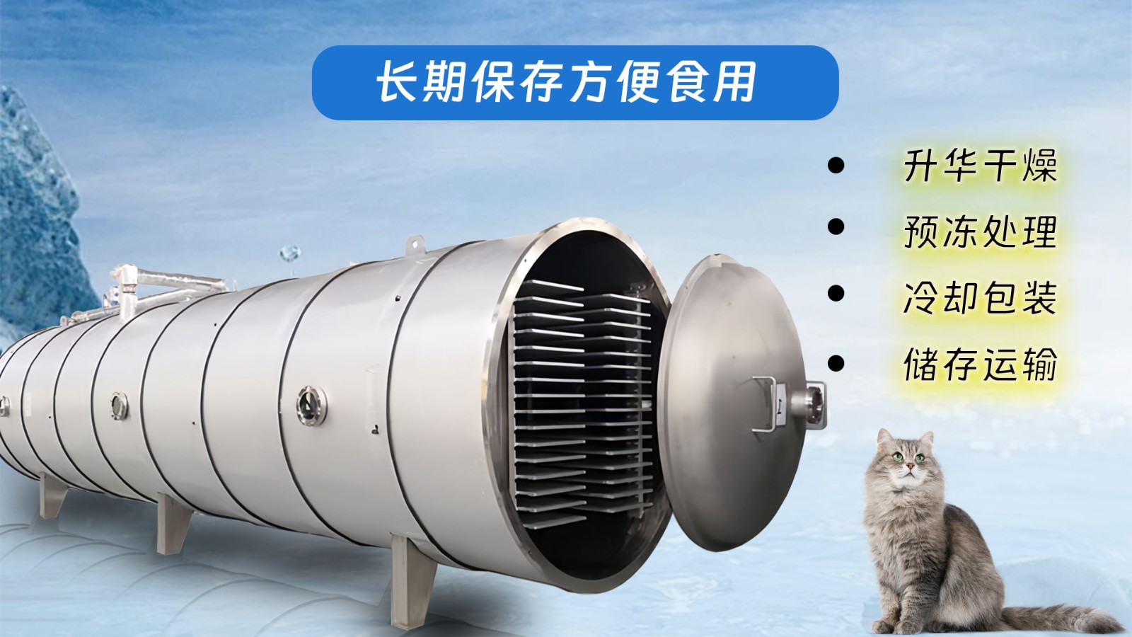 17307733192746.jpg 寵11.jpg