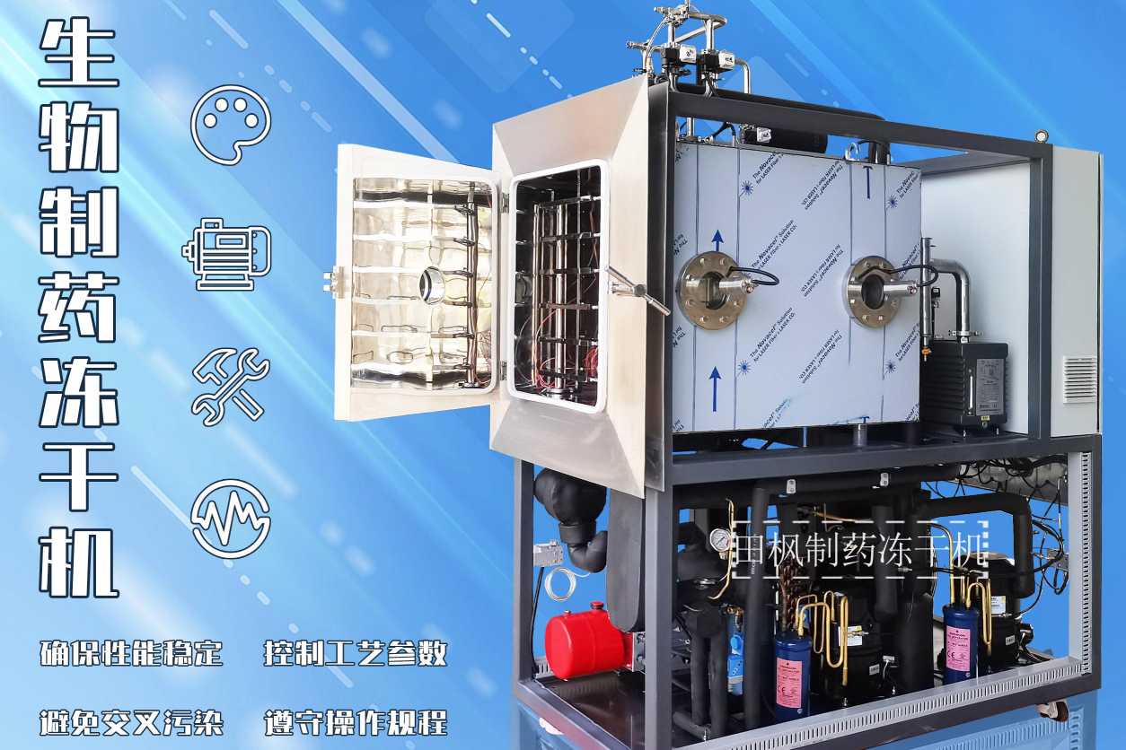 17307741728533.jpg 17307741728533.jpg