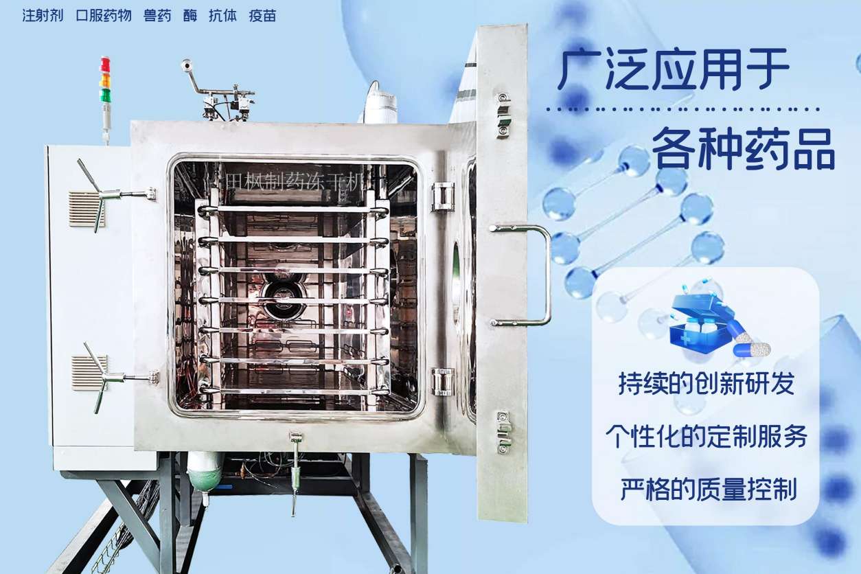 17329276213362.jpg 17329276213362.jpg