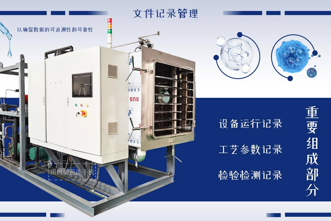 17329276313834.jpg 17329276313834.jpg