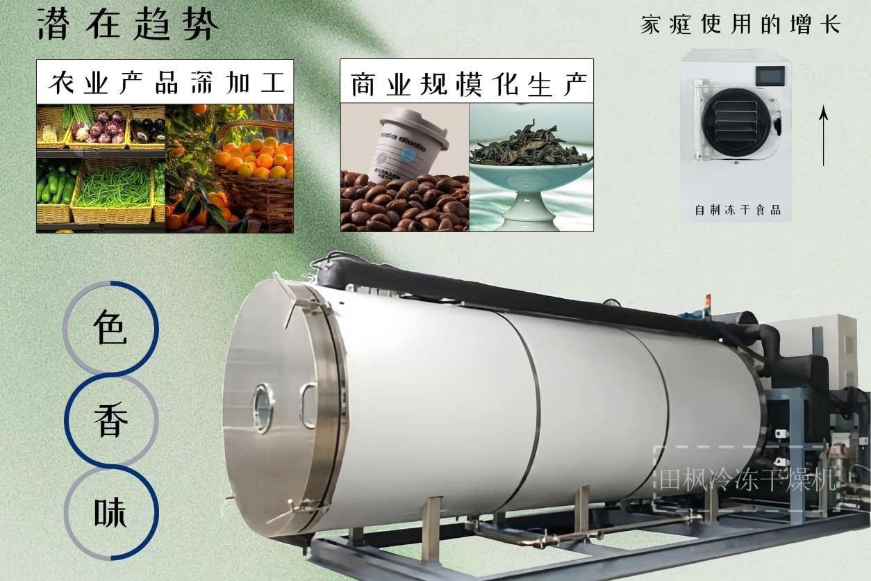 17331867959484.jpg 17331867959484.jpg