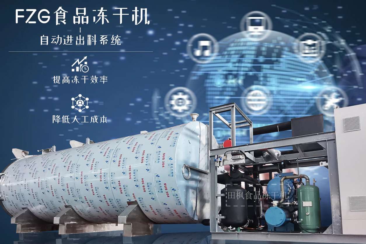 17332726418444.jpg 17332726418444.jpg