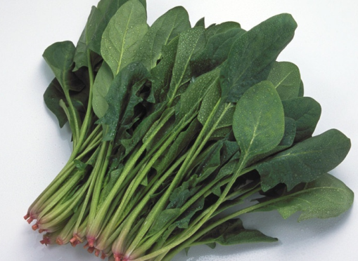 17351139518547.png 圖片 1.png