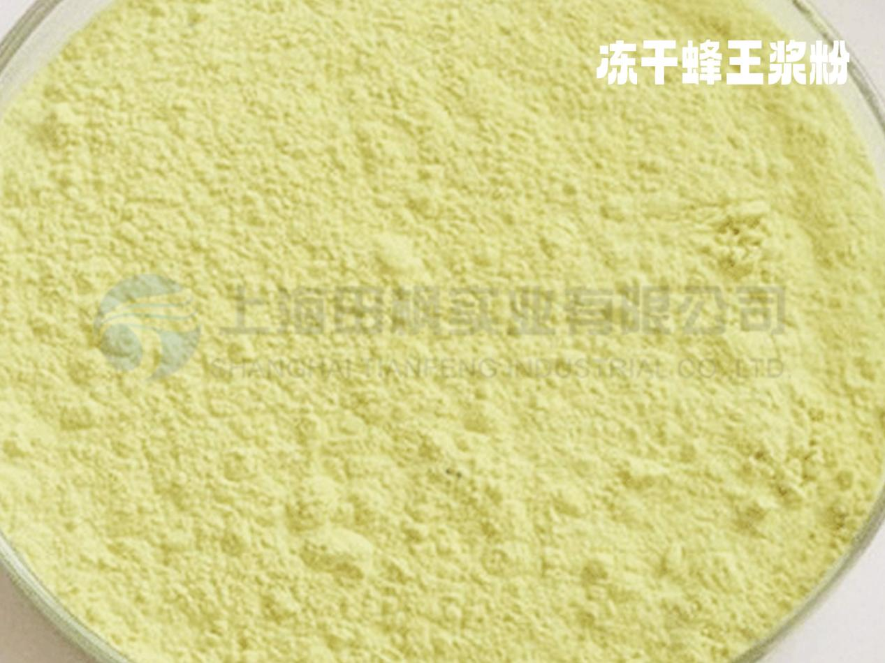 17367291897410.png 圖片 2.png