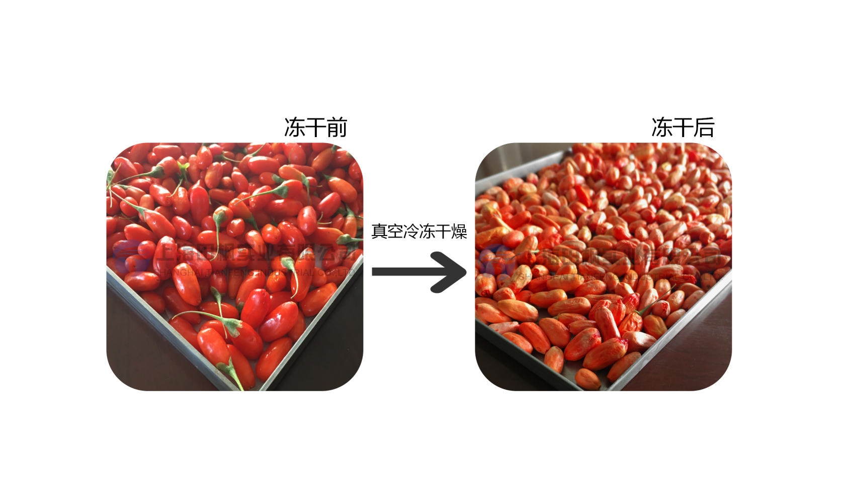 17430615884532.png 圖片 2.png