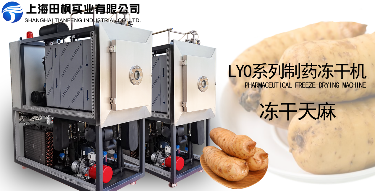 凍干機(jī)在天麻加工中的優(yōu)勢(shì)