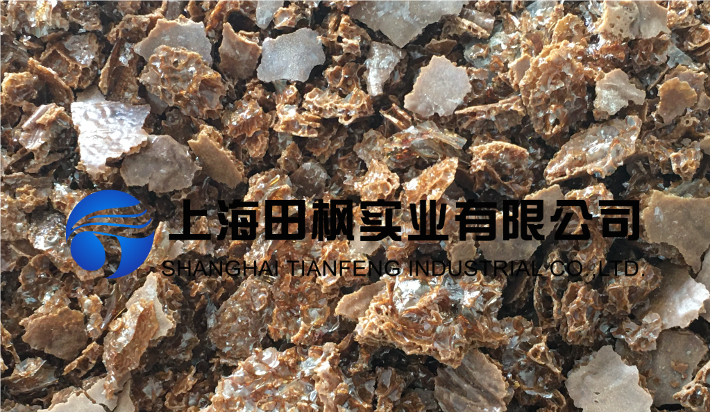 17453041776695.png 圖片 1.png