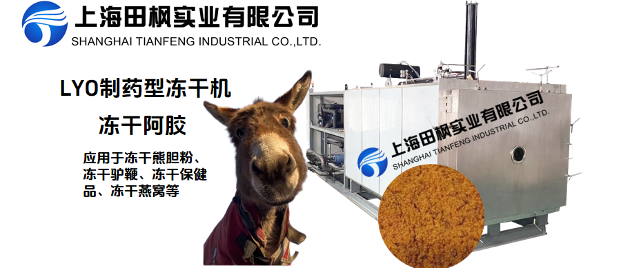 冷凍干燥機(jī)在阿膠加工中的應(yīng)用優(yōu)勢(shì)