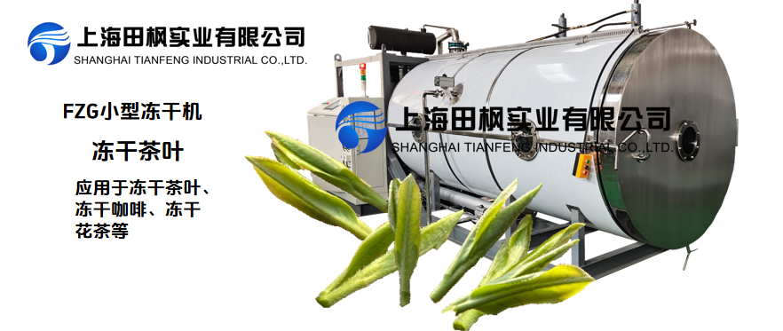 凍干機(jī)為高品質(zhì)茶葉加工提供解決方案